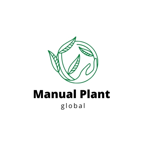 Full-Service Logo Design Manual Plant  in Greater Noida