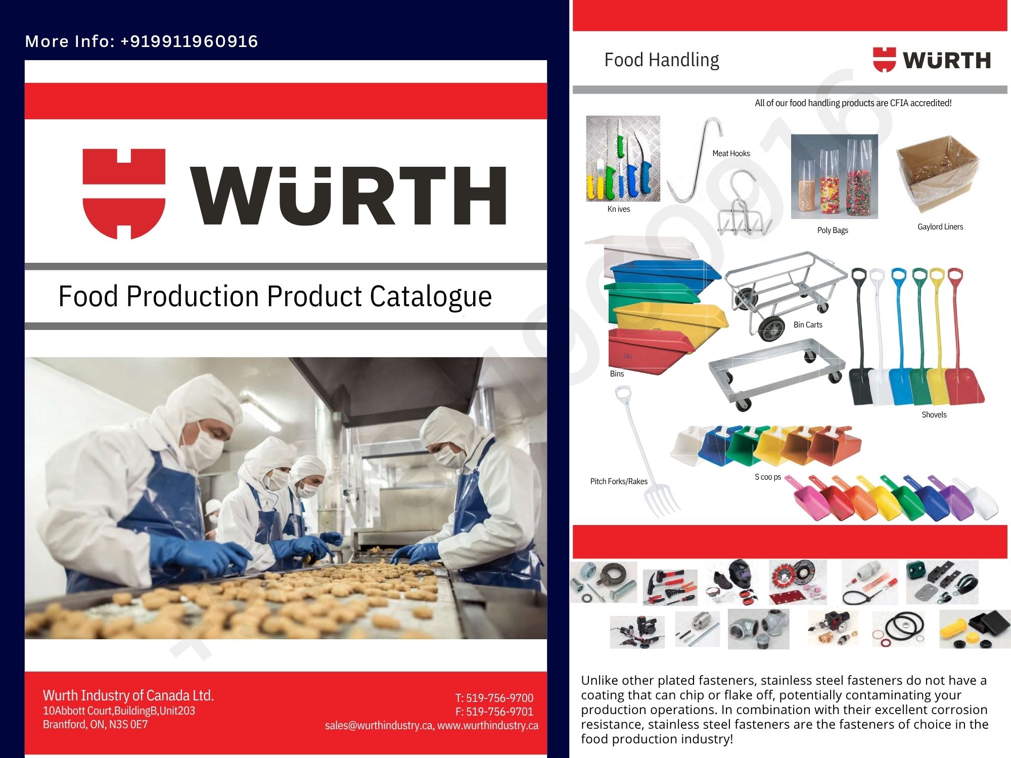 Best Catalogue Design for Product Showcasegghhhh